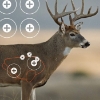 Picture of ALLEN EZ AIM WHITETAIL SPLASH TARGET 13X24" 3PK